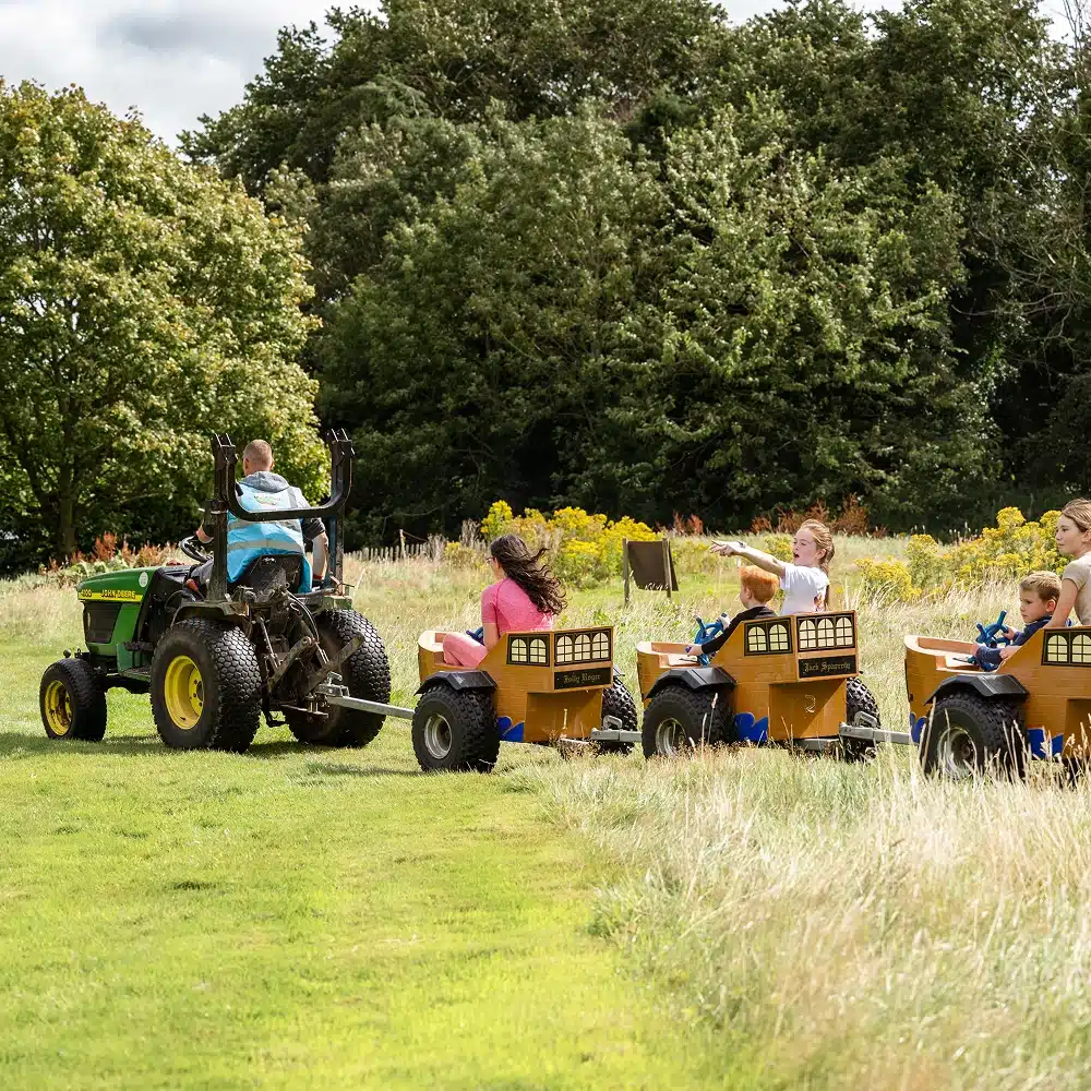 A tractor pulls a small train of brown carts with children from the Navan Easter camp riding inside through a grassy field, surrounded by trees and wildflowers on a sunny day.