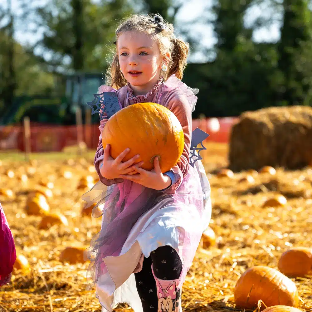 A young child in a whimsical costume holds a large pumpkin while standing in a sunlit pumpkin patch, surrounded by hay, pumpkins, and festive autumn decorations.