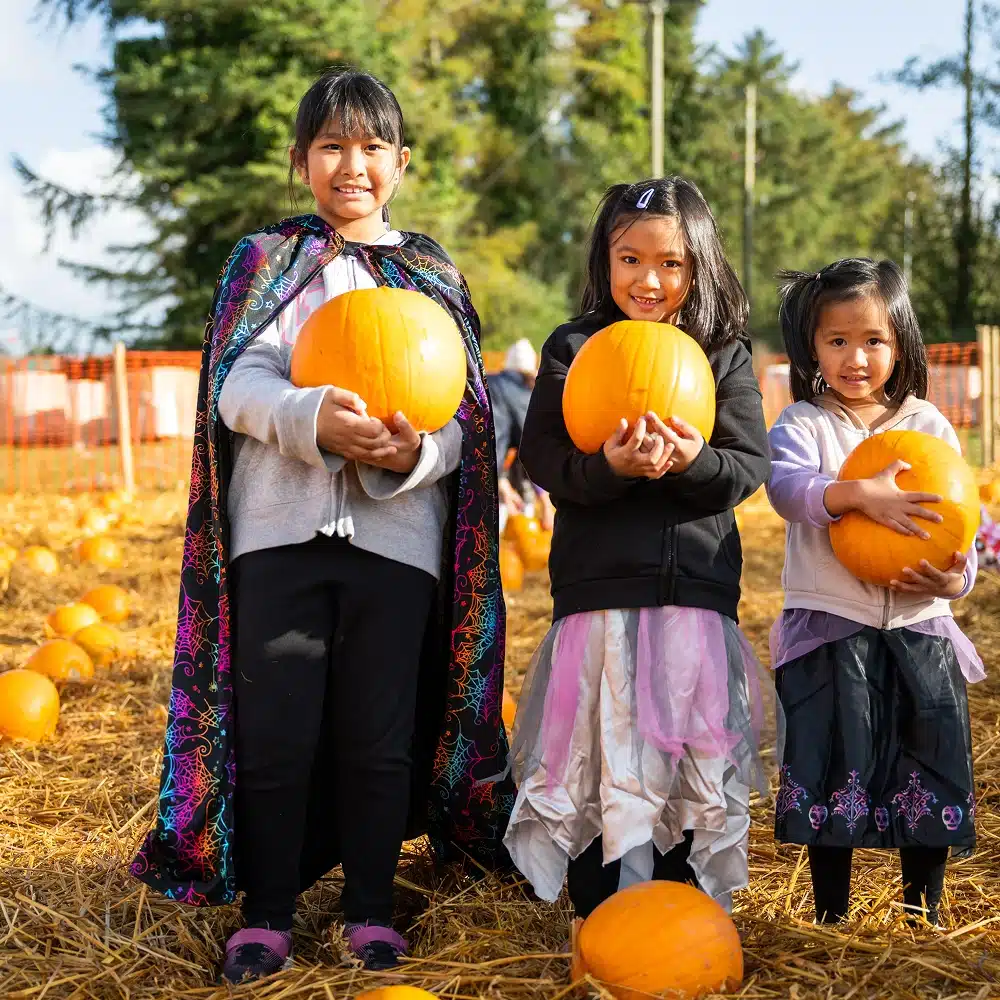 Three young girls standing outside on straw, each holding a pumpkin and smiling. They are dressed in colourful outfits, suggesting a festive or autumn event, with more pumpkins scattered on the ground around them.