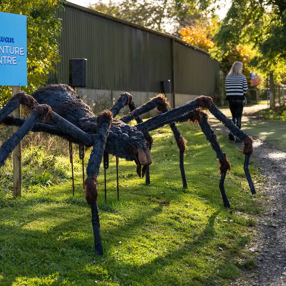 A large, realistic spider sculpture is displayed on grass near a path, with a woman walking away in the background and a blue sign that reads "Adventure Centre" to the left. Trees and a metal building are also visible.
